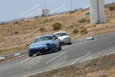 media/May-03-2025-Lucky Dog Racing (Sat) [[206de64b9d]]/Turn 6 (150pm-230pm)/